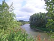 Гуща з panoramio.com