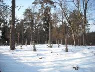 Кошари з panoramio.com