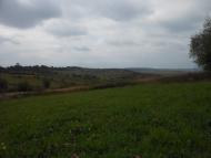 Велика Діброва з panoramio.com