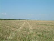 Yegorivka - Latest photos