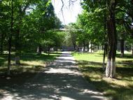 Кулиничі з panoramio.com