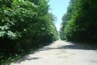 Грузевиця з panoramio.com