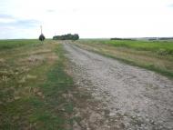 Черемошне з panoramio.com