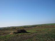 Комсомольське - Останні фото