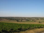 Дмитрівка - Останні фото