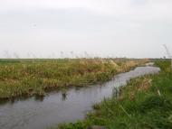 Telizhyntsi - Latest photos