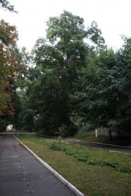 Ворзель з panoramio.com