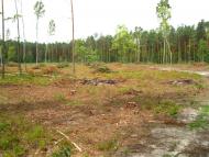 Головин з panoramio.com