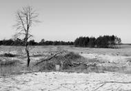 Забарине з panoramio.com