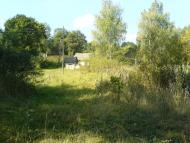 Сухоносівка з panoramio.com