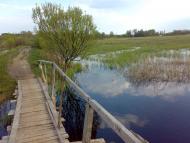 Любешів з panoramio.com