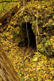 Віта-Поштова з panoramio.com