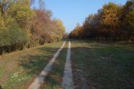 Кремінна з panoramio.com