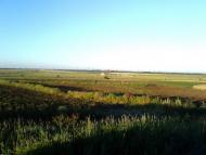 Удачне з panoramio.com