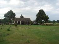 Вишнівка з panoramio.com