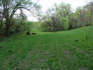 Сухини з panoramio.com