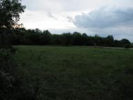 Скелівка з panoramio.com