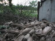 Скелівка з panoramio.com