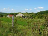 Тернова з panoramio.com