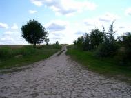 Травневе з panoramio.com