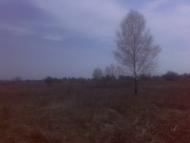 Сошників з panoramio.com