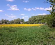 Вільшане з panoramio.com