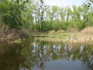 Лісники з panoramio.com