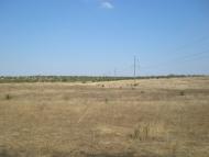 Синюхин Брід з panoramio.com