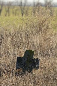 Лоховка - Последние фото