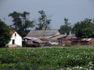 Миролюбівка - Останні фото