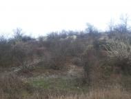 Варюшине з panoramio.com