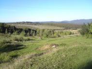 Грабово з panoramio.com