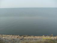 Малокатеринівка з panoramio.com