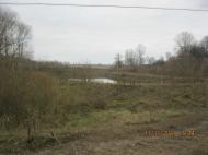 Чапля - Останні фото