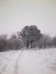 Долинка з panoramio.com