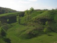 Мачухи з panoramio.com