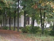 Тимар з panoramio.com