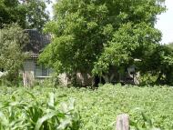 Заворичі з panoramio.com