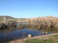 Хмельове з panoramio.com