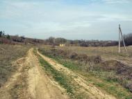 Несваткове з panoramio.com