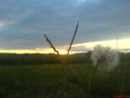 Спас з panoramio.com