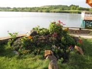 Olgopil - Latest photos