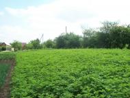 Ясининичі з panoramio.com