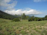 Відрадне з panoramio.com