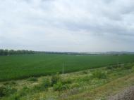 Нігин з panoramio.com