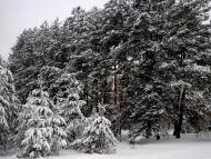 Дубовичі з panoramio.com