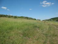 Стариця з panoramio.com