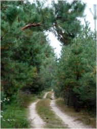 Лучківка з panoramio.com