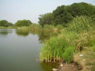 Попасна з panoramio.com