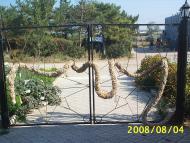 Берегове з panoramio.com